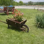 Motel Formula 1 *